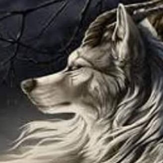 whereIsRafi's profile picture. alterok