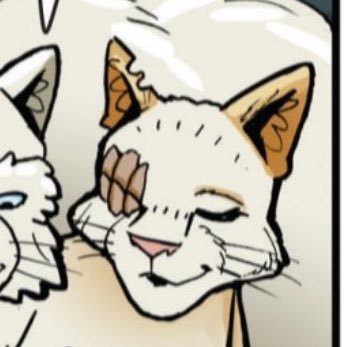 Brightheart | she/star | ThunderClan elder | bisexual | wife of Cloudtail | Mother of Whitewing, Dewnose, Ambermoon, and Snowbush š | youāre lovely š