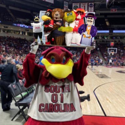 StoneDog82's profile picture. Highly Opinionated Sports Fan | College Baseball Shouldn’t Lose Parlay Connoisseur | Salaried Employee | #BanTheWave