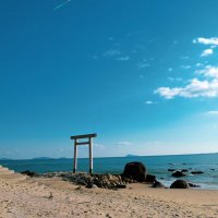 さく (@capture2567) 's Twitter Profile
