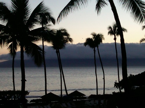 amymantionecpa's profile picture. 