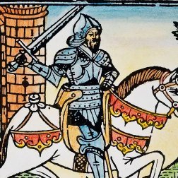 Caballero de Orden de la Caballería Andante Anarco-Capitalista Mendocina