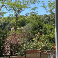 özlem özkan (@ozkan7051) Twitter profile photo