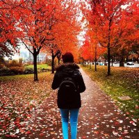 A N D R E A (@andrearbolee) 's Twitter Profile