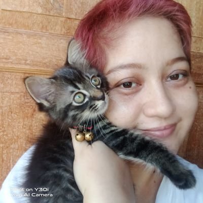 anemodisL's profile picture. 