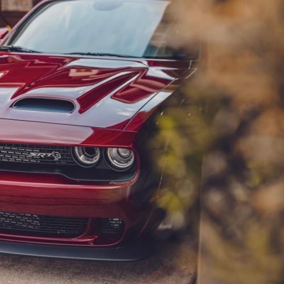 SI_Sandro29's profile picture. 