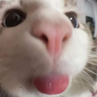𝐬𝐚𝐫𝐬_𝐩𝐚𝐞𝐬𝐚𝐥❀♡さんのプロフィール画像