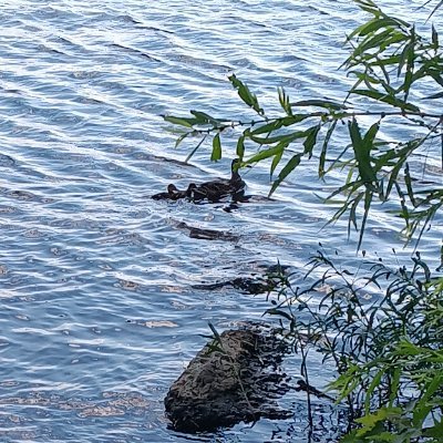 LMinnney's profile picture. am I crazy or no, your choice