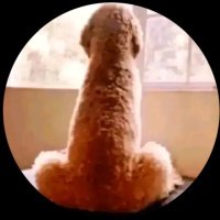 alex alex (@alexale23893334) 's Twitter Profile
