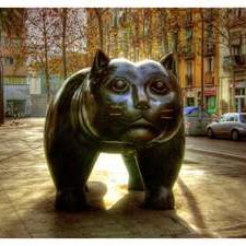 GatoCieloAzul's profile picture. POSIWID, bitches!!!