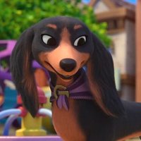 Greta (@gretadachshund) 's Twitter Profile