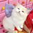 bangetheryeoja's profile image