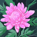 جده الا (@rizwanrizw42578) Twitter profile photo جده الا (@rizwanrizw42578) Twitter profile photo