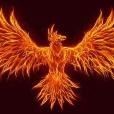 tulenho19's profile picture. 🔞 NSFW contenido delicado no apto para mentes debiles
Me suspendieron mi cuenta anterior