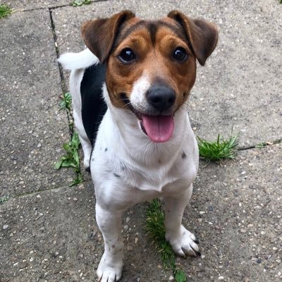 DN_KA06's profile picture. 