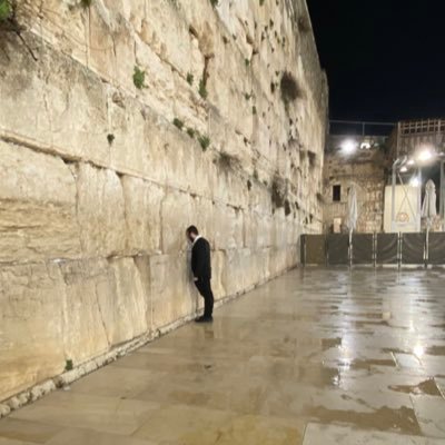 realmendykay's profile picture. I voted for a convicted felon in November. I stand with Israel 🇺🇸🇮🇱