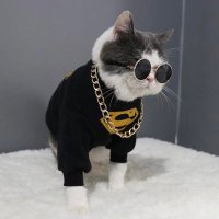 acutually (@acutually1) 's Twitter Profile