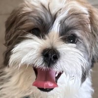 Jordan H (@captn_evil) 's Twitter Profile