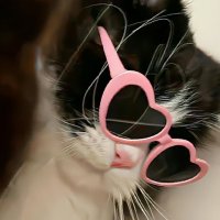 π
»ππ
Ίπ
Ίπ
°π
΄ππ β‘ (@kkannikaaa_2000) 's Twitter Profile