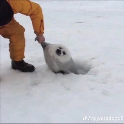 カルシウムさんのプロフィール画像