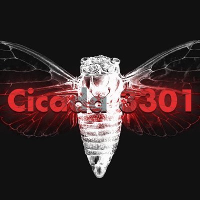 blackpigeon3647's profile picture. Everything is Vulnerable !