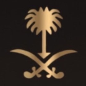 shaheralsolami's profile picture. Consultant Team Lead | PhD in Political Science & Government.