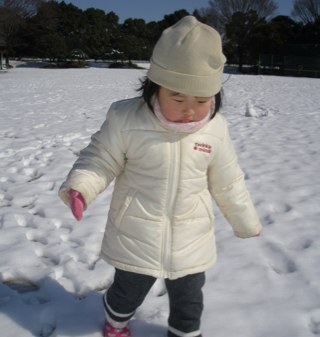 nomuravit's profile picture. 主婦のひとり言