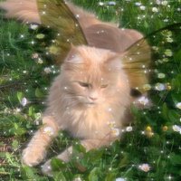 Sassy Sophie (@s2_sophie_) 's Twitter Profile Photo Sassy Sophie (@s2_sophie_) 's Twitter Profile Photo