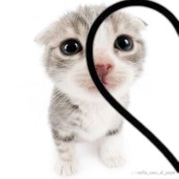 viz (@vizzatanna) 's Twitter Profile