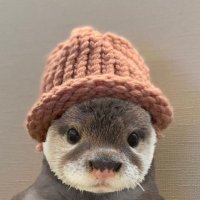 ♡’s (@_00_zpdl) 's Twitter Profile