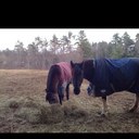 Fran Freeman - @franniefreeman - Twitter