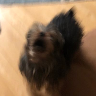 のらさんのプロフィール画像
