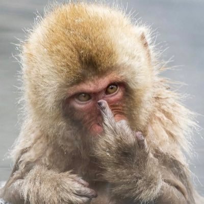 akaanan90933's profile picture. #ThatInnocentGuy