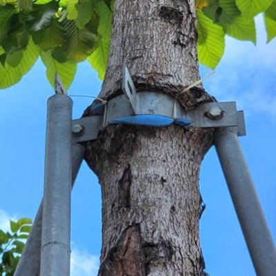 yanghai323750's profile picture. 