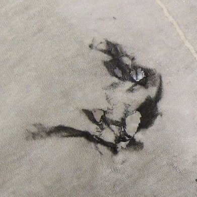 chercheplusou's profile picture. chronically ill | #autodefensesanitaire