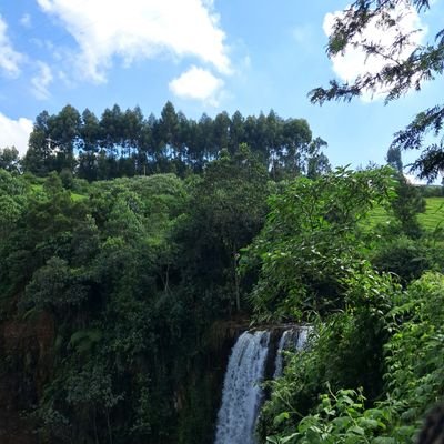 OusoPeter's profile picture. Politics ll
Car Enthusiast