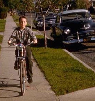 perseid77's profile picture. 