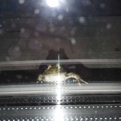 JakisRand0m_'s profile picture. 