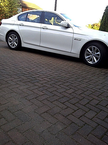 funiswhatineed's profile picture. bored and needing extra stimulation. Tasting you is my pleasure