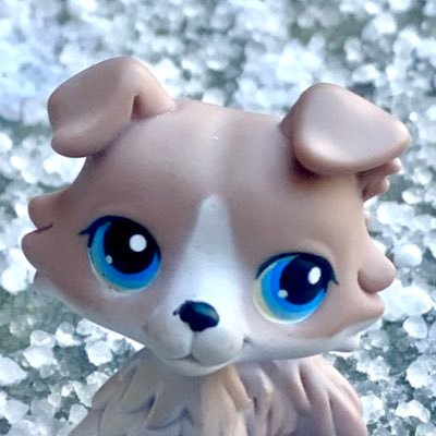 Lps_Photos's profile picture. :3 :D