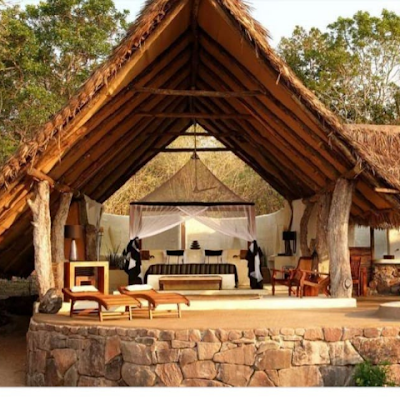 kimathipatrik's profile picture. 