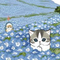 ちっぴさん/chippisan (@chippi_run) 's Twitter Profile