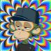 Luna Bandit (@lunabandit6224) Twitter profile photo