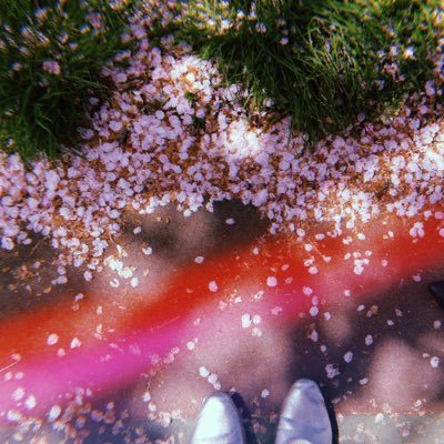 jc_bigdream's profile picture. S水SD→Y塚EM→Sとみ→Cかです🩵💛/絶対諦めない何度だって立ち上がる🔥🔥/自分の人生自分のもの！