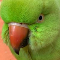 ู
ูุถู ุจูุช ุนุจุฏุงูุนุฒูุฒ ๐ธ๐ฆ (@masj649715) 's Twitter Profile Photo ู
ูุถู ุจูุช ุนุจุฏุงูุนุฒูุฒ ๐ธ๐ฆ (@masj649715) 's Twitter Profile Photo