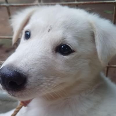 w3stly07's profile picture. 