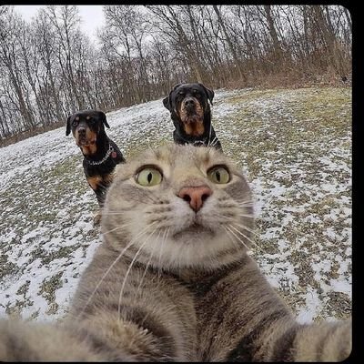 lucxgen's profile picture. Real madrid

|