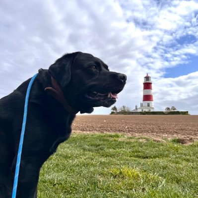 JasonPillar's profile picture. Registered Nurse working with the good ol’ NHS. Love all things trains and enjoy cooking and baking.