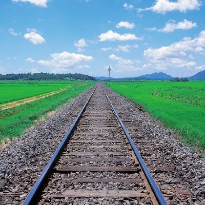 sa10__san's profile picture. 