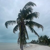 Bandita (@boodras) 's Twitter Profile